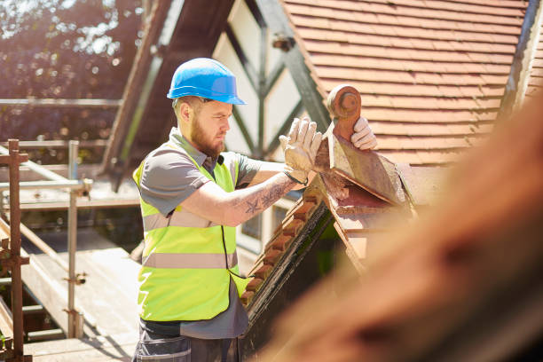 Best Roof Gutter Cleaning  in Grafton, WV